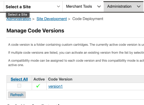 CodeVersionPanel